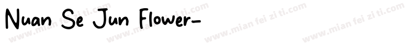 Nuan Se Jun Flower字体转换
